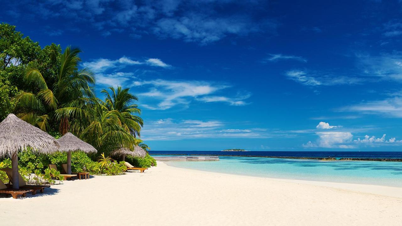 Corales Punta Cana Luaran gambar